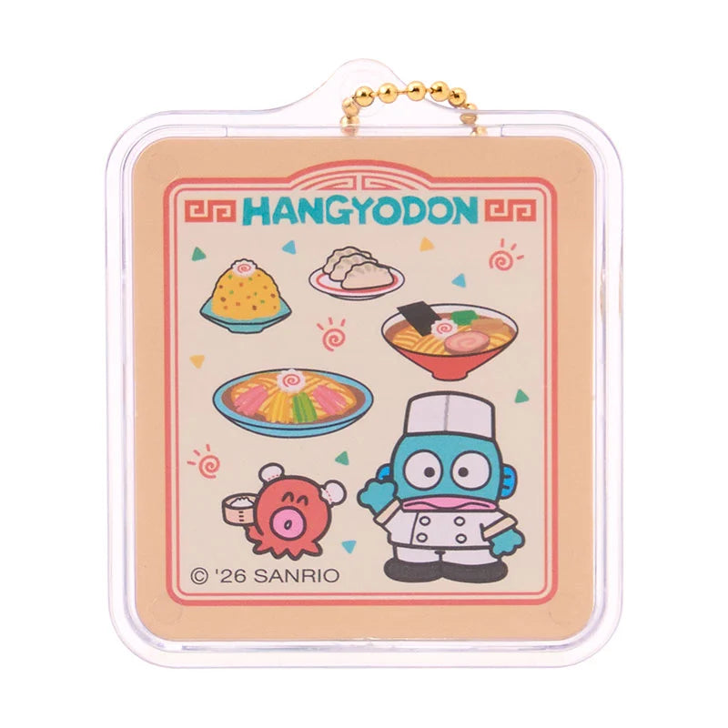 Sanrio Miniature package charm (Shop)