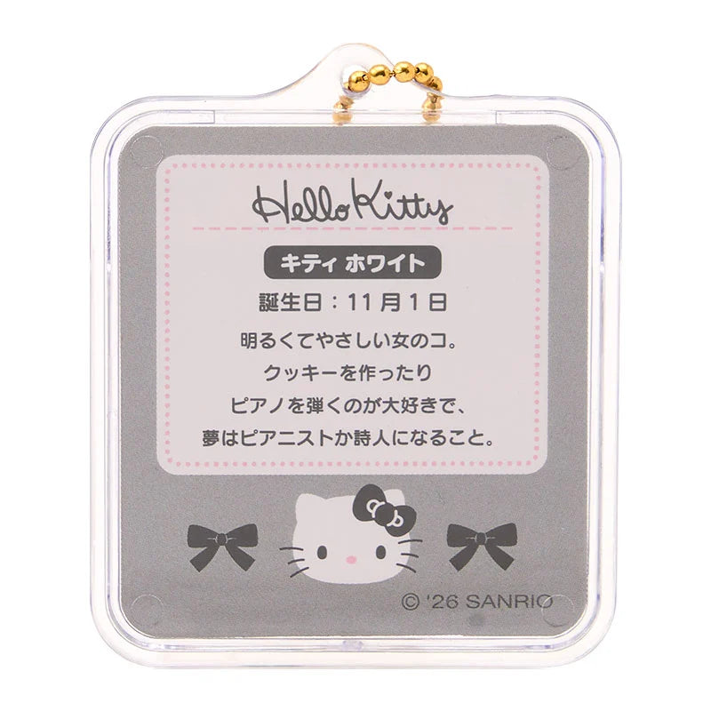 Sanrio Miniature package charm