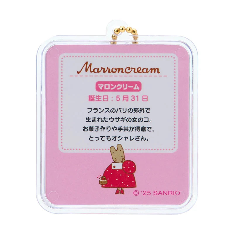 Sanrio Miniature package charm (miniature toy)