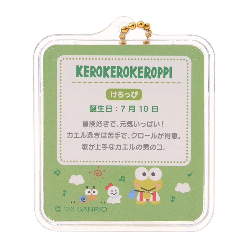Sanrio Miniature package charm
