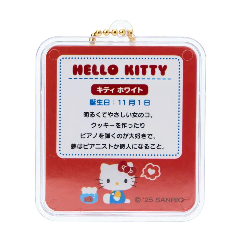 Sanrio Miniature package charm (miniature toy)