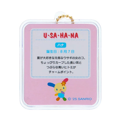 Sanrio Miniature package charm (miniature toy)