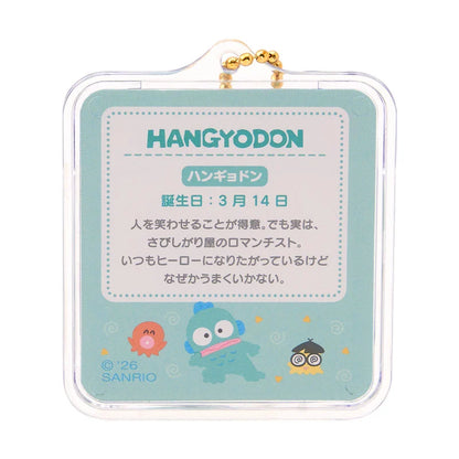 Sanrio Miniature package charm