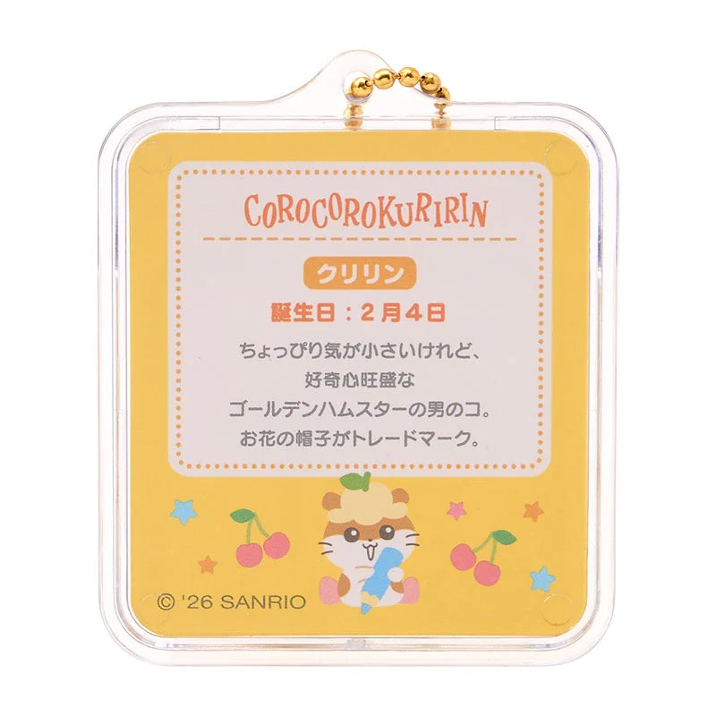 Sanrio Miniature package charm