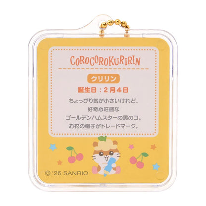 Sanrio Miniature package charm