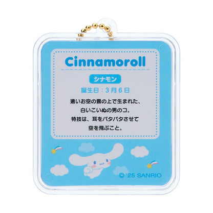 Sanrio Miniature package charm (miniature toy)