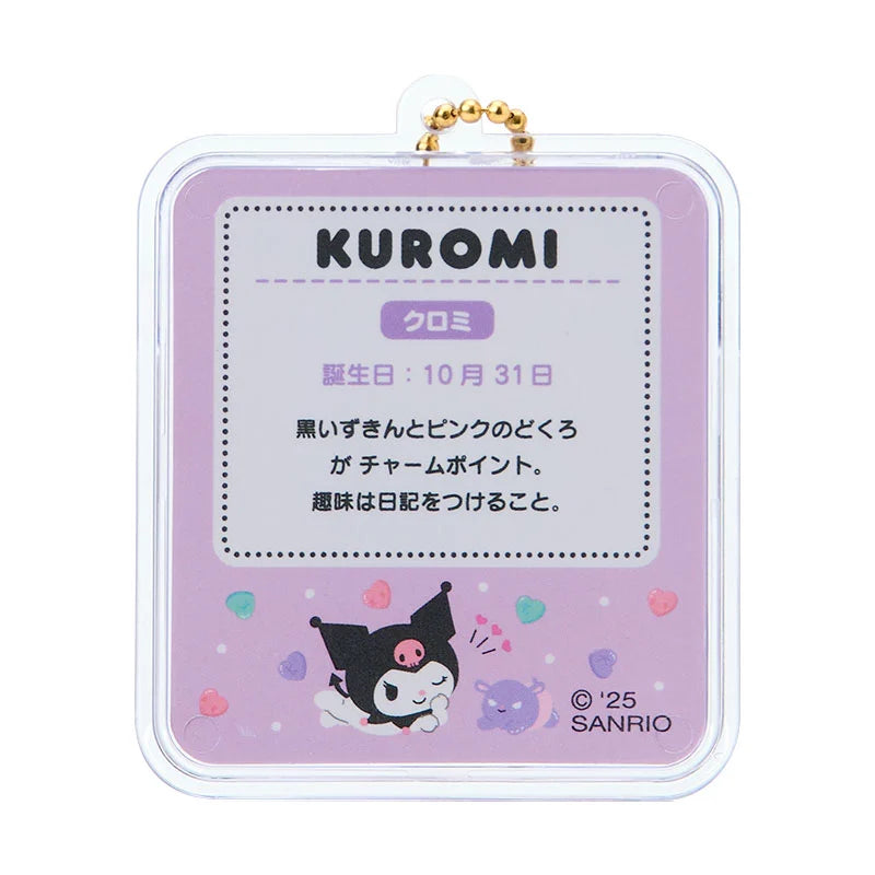 Sanrio Miniature package charm (miniature toy)