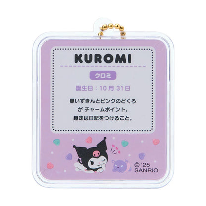 Sanrio Miniature package charm (miniature toy)