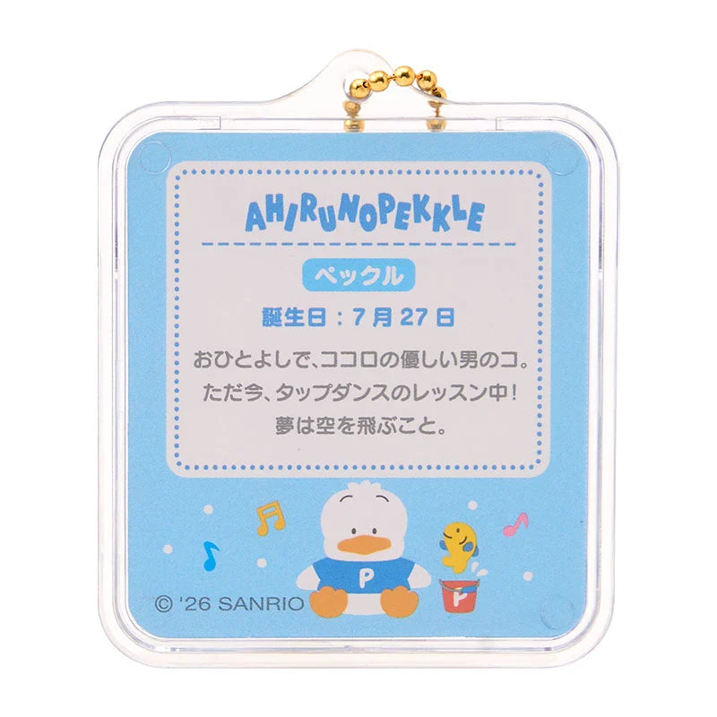 Sanrio Miniature package charm
