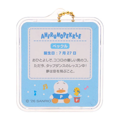 Sanrio Miniature package charm