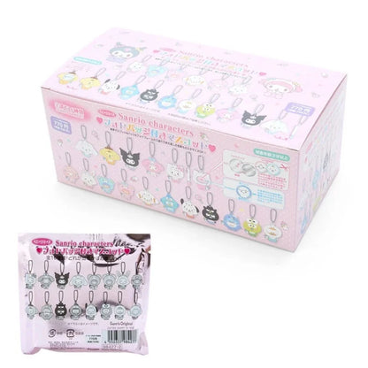 Sanrio Characters Mascot with photo badge Blind Box (16types)